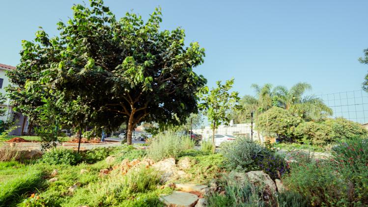 הקמת גינה בגבעת חיים